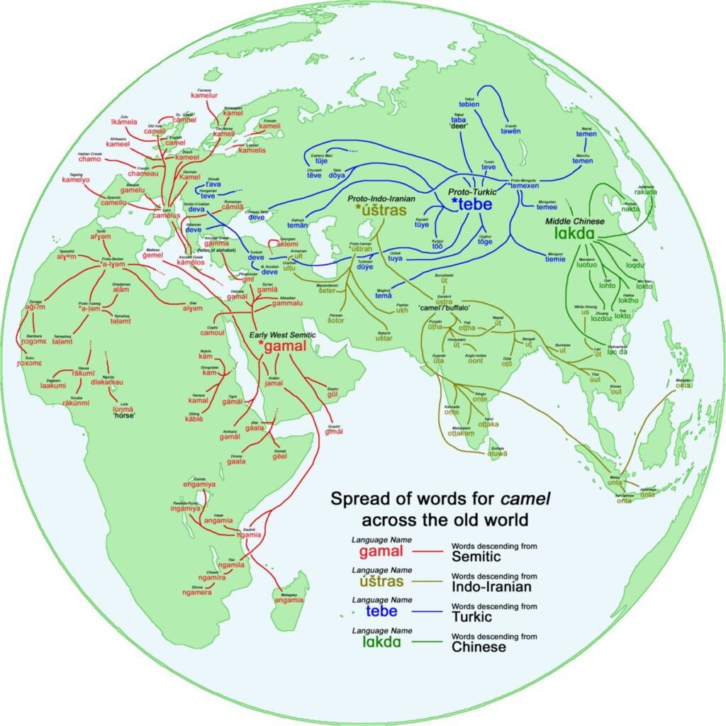 Mappa linguistica che mostra la diffusione della parola